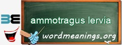 WordMeaning blackboard for ammotragus lervia